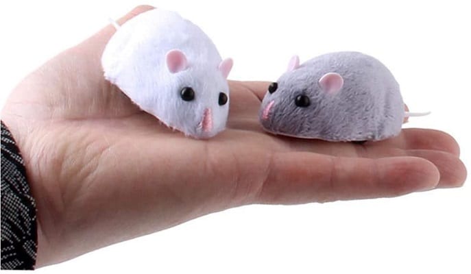 Pourquoi-acheter-souris-telecommandee-chat