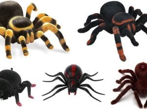 meilleures-araignees-telecommandees