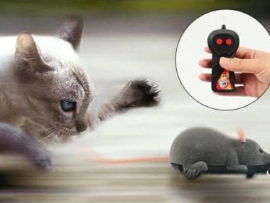 meilleures souris télécommandées