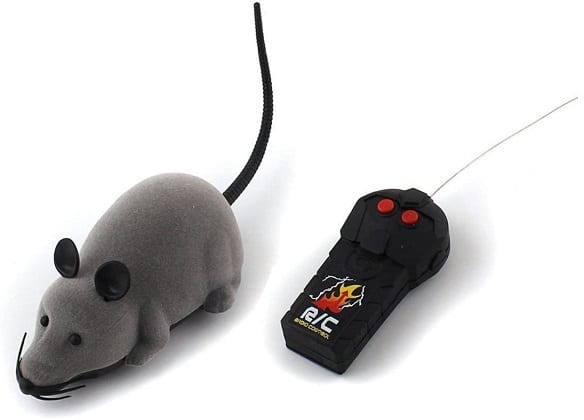 souris-telecommandee-courir-chat-Haniya